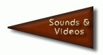 Sounds & Videos